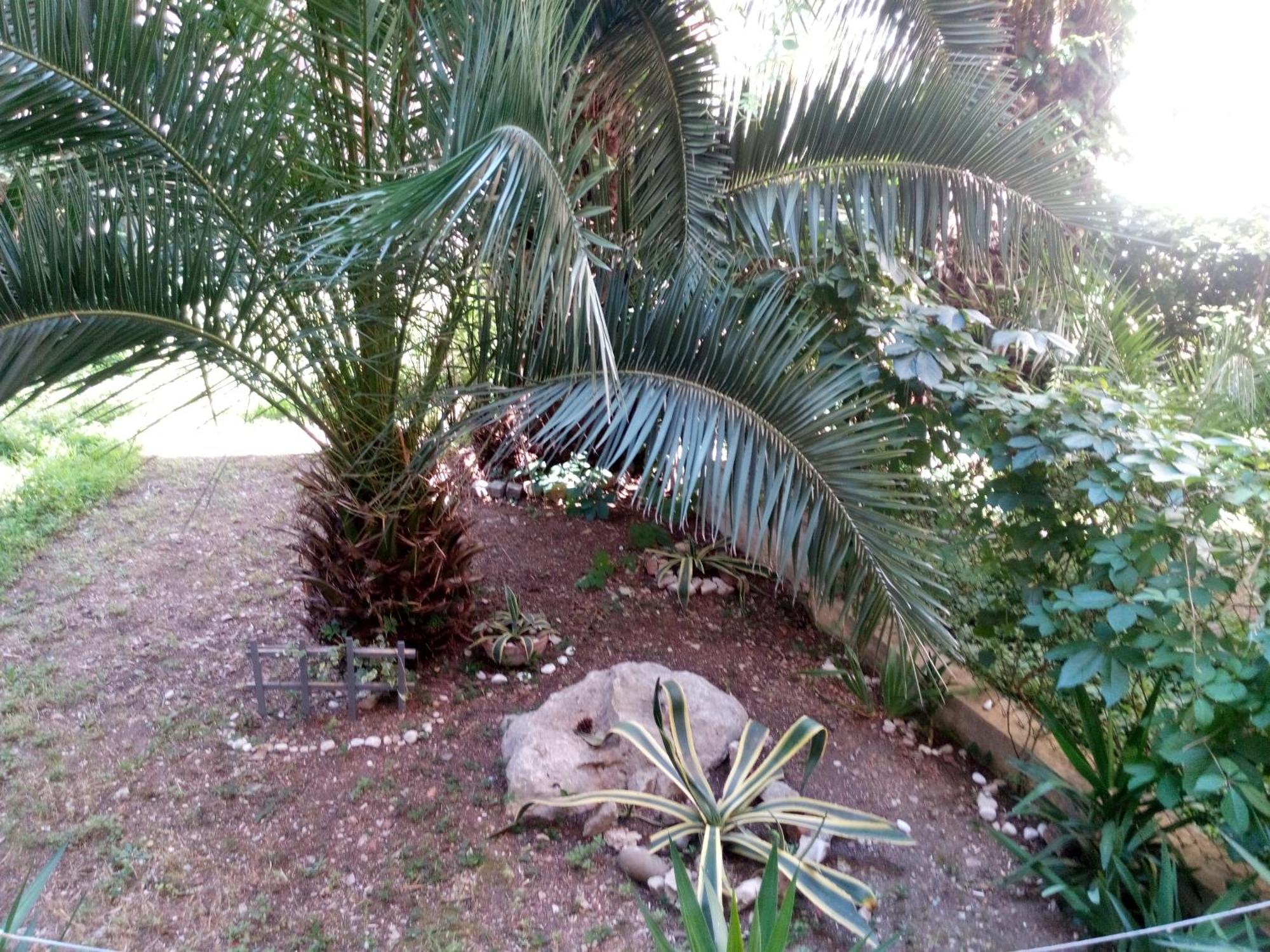 Apartments Crvena Orhideja Split Luaran gambar