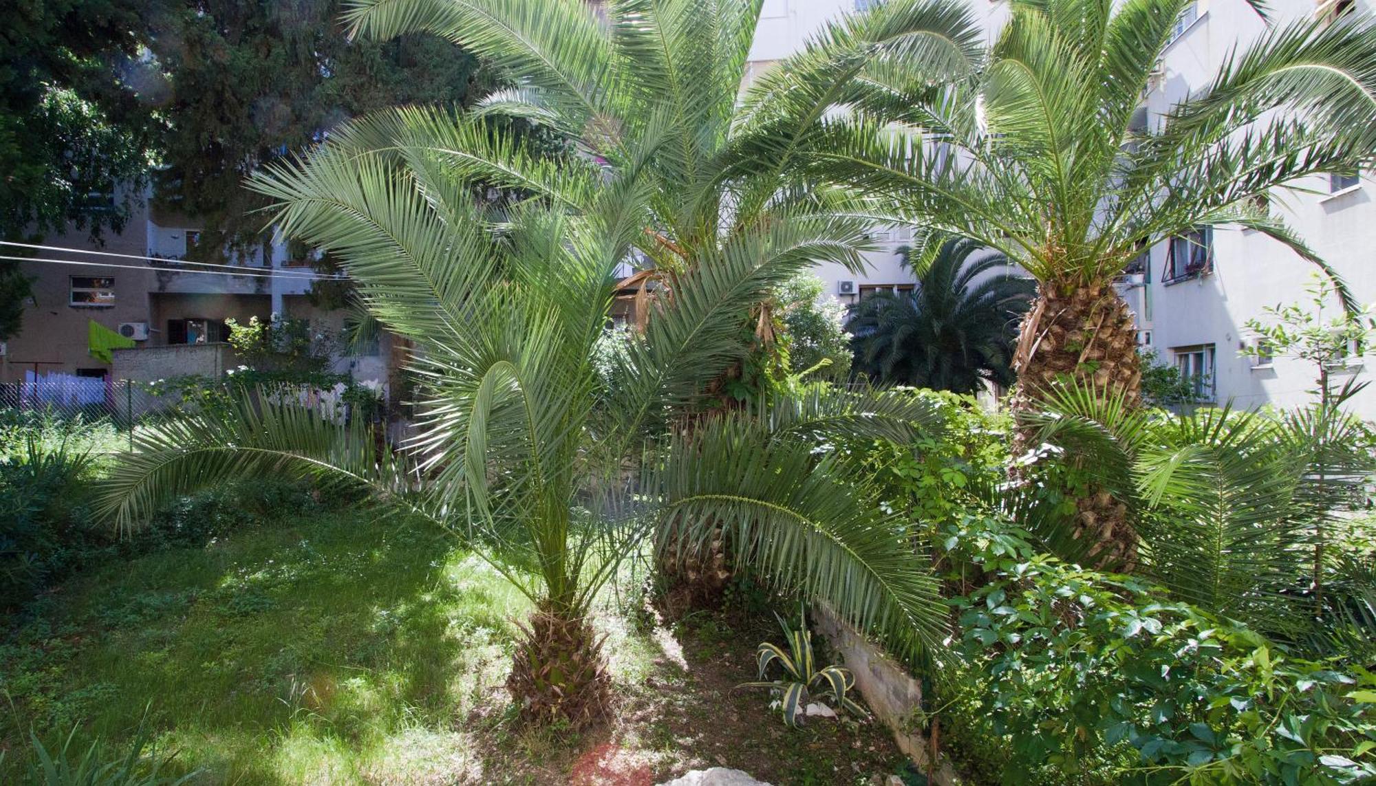 Apartments Crvena Orhideja Split Luaran gambar